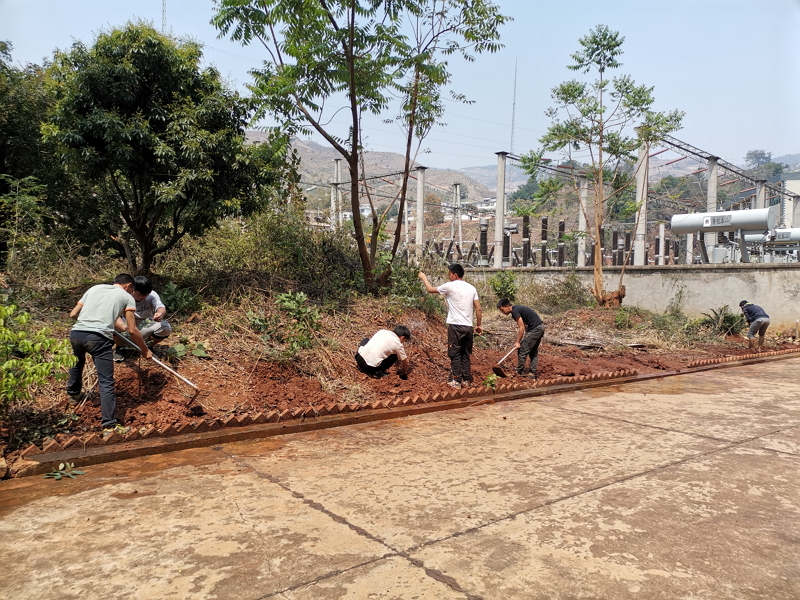 云南省永德恒昌電力有限公司大勐統(tǒng)電站開(kāi)展植樹(shù)綠化活動(dòng)-云南能投居正產(chǎn)業(yè)投資有限公司